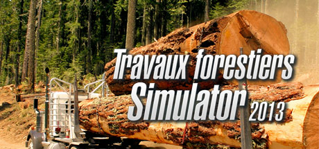 Travaux Forestiers Simulator 2013